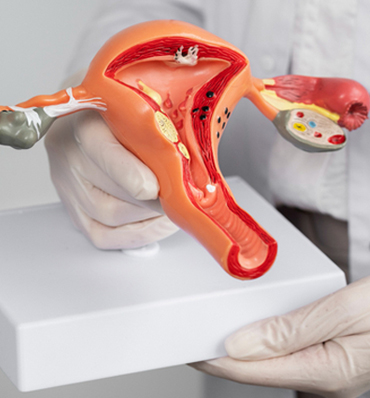 Obstetrics and Gynaecology